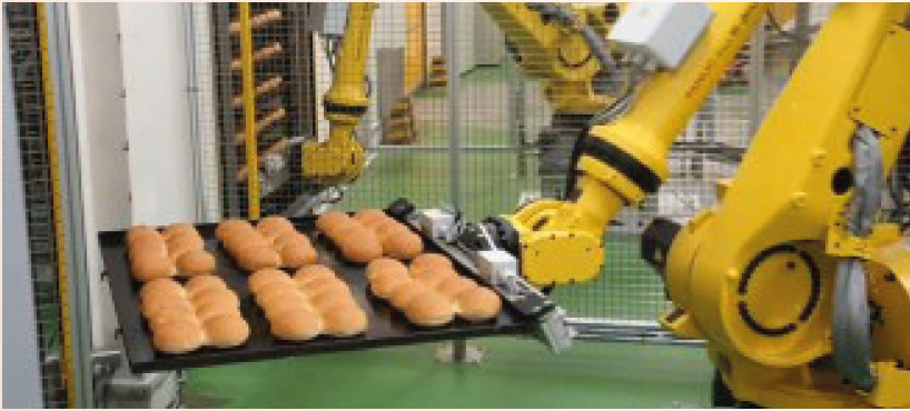 Dankzij cobots kunnen ook regionale bedrijven flink opschalen én besparen